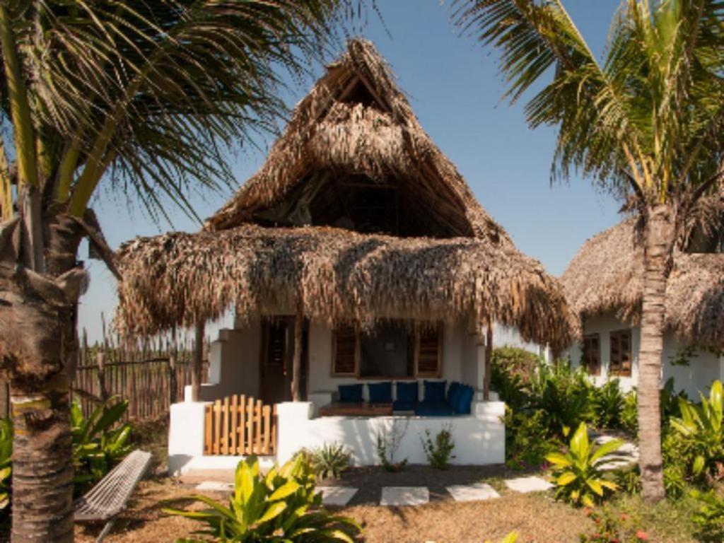 Отель Paredon Surf House Эль-Паредон-Буэна-Виста Номер фото