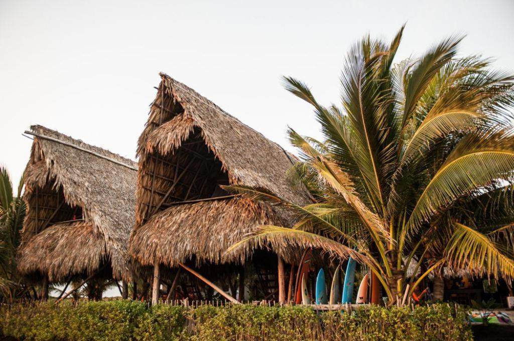 Отель Paredon Surf House Эль-Паредон-Буэна-Виста Номер фото