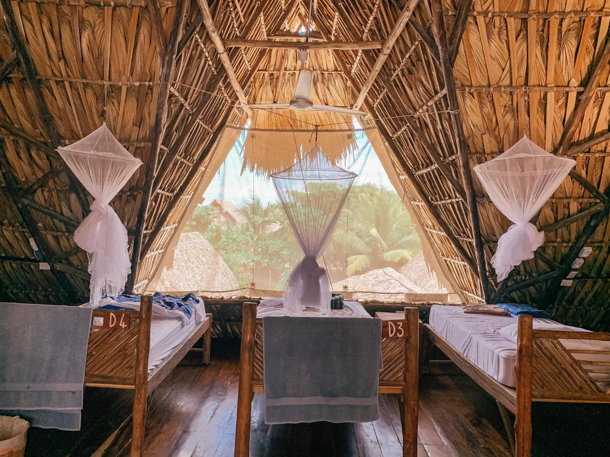 Отель Paredon Surf House Эль-Паредон-Буэна-Виста Номер фото